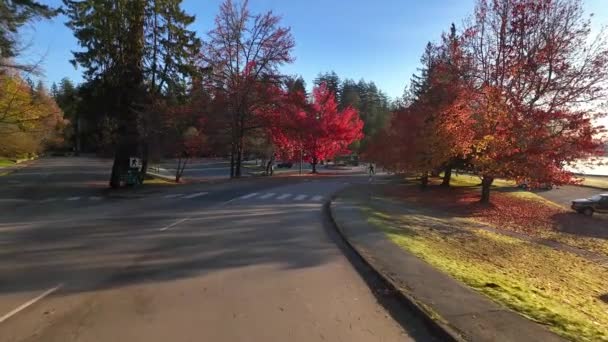 サニー フォール モーニングのスタンレー パークにある風光明媚な道路 日が昇る 石炭ハーバー バンクーバーのダウンタウン ブリティッシュコロンビア カナダ — ストック動画