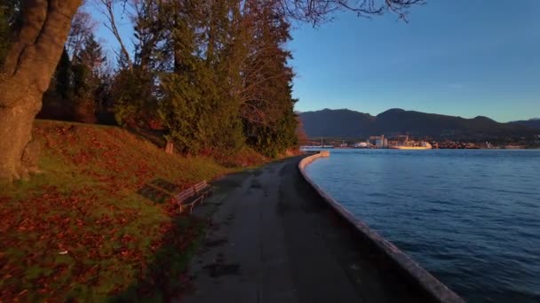 Landschaftlich Reizvoller Seewall Und Pfad Sonnigen Herbstmorgen Sonnenaufgang Stanley Park — Stockvideo