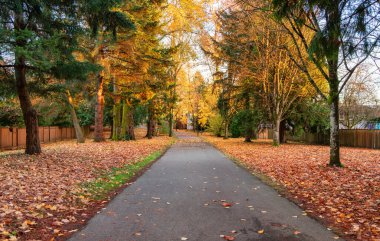 Banliyö Mahallesi 'nde Manzaralı Yürüyüş Yolu. Sonbahar sezonu, güneşli gün. Burnaby, Vancouver, British Columbia Kanada.