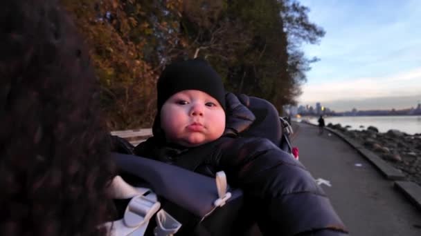 Мать Младенцем Carrier Сиволл Стэнли Парк Сансет Осень Центр Ванкувера — стоковое видео