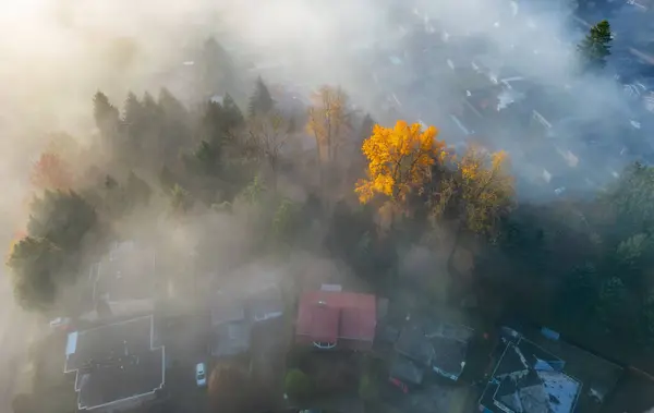 Vecindarios Casas Cubiertas Niebla Barrio Residencial Ciudad Vista Aérea Canadá —  Fotos de Stock