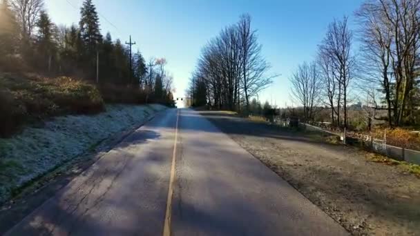 Poblíž Scenic Parku Stromy Podzimní Sezóna Burnaby Vancouver Britská Kolumbie — Stock video