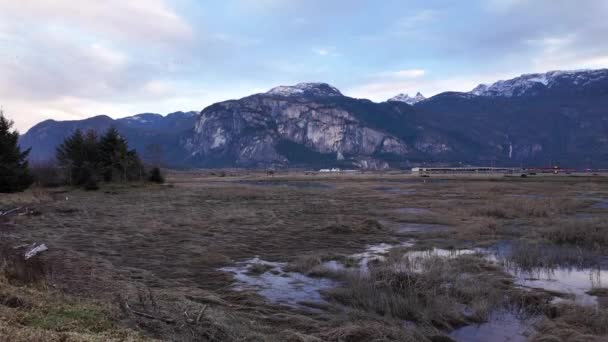 Wetlands Omgeven Door Bergen Canadese Natuur Herfstseizoen Sunset Sky Squamish — Stockvideo