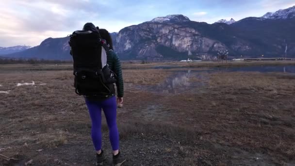 캐나다 자연에서 캐리어 하이킹에 아기와 어머니 스콰미쉬 브리티시컬럼비아 캐나다 슬로우 — 비디오
