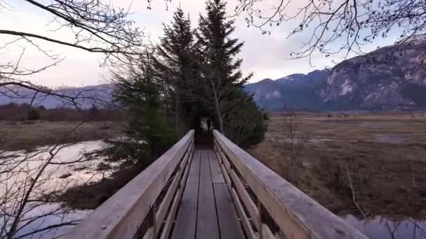 Moeder Met Baby Draagtas Wandelen Canadese Natuur Herfstseizoen Zonsondergang Squamish — Stockvideo