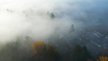 Sis kaplı mahalle sokakları ve evler. Şehrin varoşlarında. Hava görüntüsü. BC, Kanada.