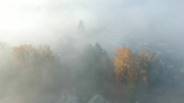 Sis kaplı mahalle sokakları ve evler. Şehrin varoşlarında. Hava görüntüsü. BC, Kanada.