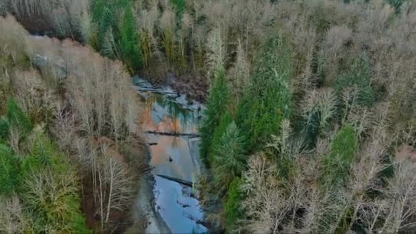 Река Течет Долине Канадский Природный Пейзаж Воздушный Канада — стоковое видео