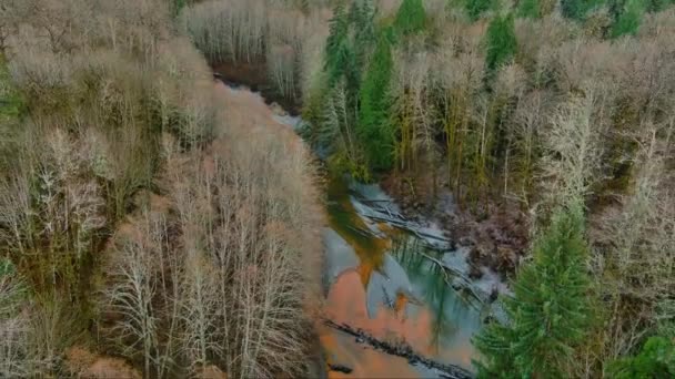 Річка Тече Долині Канадський Ландшафт Природи Повітря Канада — стокове відео