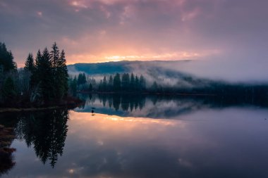 Göl kenarındaki vadi, dağlar ve sisle kaplı yeşil ağaçlar. Kanada Peyzaj Doğası Hava Arkaplanı. Vancouver Adası, British Columbia, Kanada.