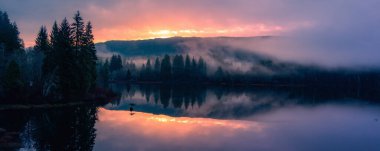 Göl kenarındaki vadi, dağlar ve sisle kaplı yeşil ağaçlar. Kanada Peyzaj Doğası Hava Arkaplanı. Vancouver Adası, British Columbia, Kanada.