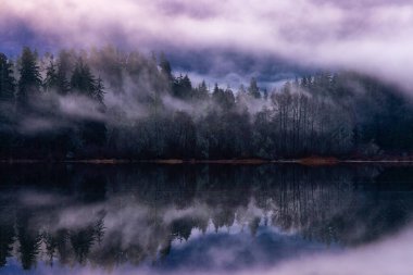 Sis, Kanada Doğa Peri Gölü 'nü kapladı. Gün doğumu. Juan de Fuca, Port Renfrew, BC, Kanada.