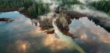 Göl kenarındaki vadi, dağlar ve sisle kaplı yeşil ağaçlar. Kanada Peyzaj Doğası Hava Arkaplanı. Vancouver Adası, British Columbia, Kanada.