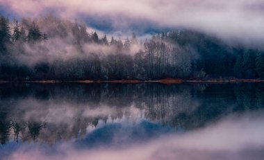 Sis, Kanada Doğa Peri Gölü 'nü kapladı. Gün doğumu. Juan de Fuca, Port Renfrew, BC, Kanada.