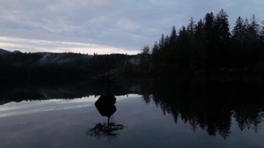 Fairy Gölü 'ndeki Bonsai Ağacı. Kanada Doğa Peyzajı. Gün doğumu. Juan de Fuca, Port Renfrew, BC, Kanada.
