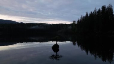 Fairy Gölü 'ndeki Bonsai Ağacı. Kanada Doğa Peyzajı. Gün doğumu. Juan de Fuca, Port Renfrew, BC, Kanada.