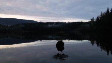 Fairy Gölü 'ndeki Bonsai Ağacı. Kanada Doğa Peyzajı. Gün doğumu. Juan de Fuca, Port Renfrew, BC, Kanada.