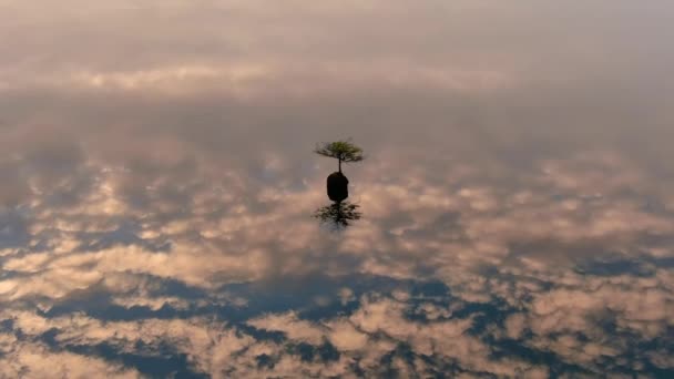 Дерево Бонсай Сказочном Озере Канадский Природный Пейзаж Восход Солнца Хуан — стоковое видео