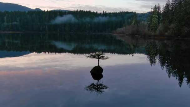 Δέντρο Μπονσάι Στη Λίμνη Νεράιδα Καναδικό Τοπίο Της Φύσης Ανατολή — Αρχείο Βίντεο