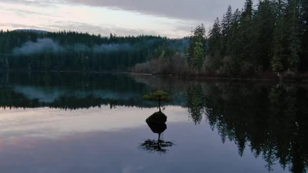 Fairy Gölü Ndeki Bonsai Ağacı Kanada Doğa Peyzajı Gün Doğumu — Stok video