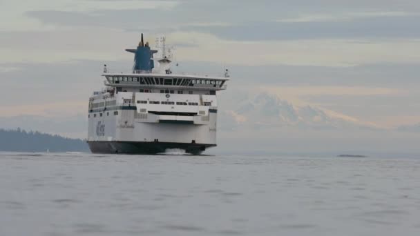 Victoria Île Vancouver Colombie Britannique Canada Décembre 2023 Ferries Bateau — Video