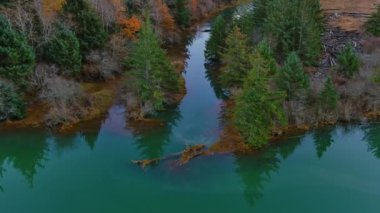 Kanada doğasında ağaçlar ve otlaklarla çevrili su. Sonbahar sezonu, Günbatımı. Squamish, İngiliz Kolombiyası Kanada.
