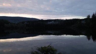 Fairy Gölü 'ndeki Bonsai Ağacı. Kanada Doğa Peyzajı. Gün doğumu. Juan de Fuca, Port Renfrew, BC, Kanada.