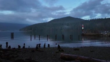 Okyanus kıyısında bir şehir parkında Rocky Shore. Günbatımı Gökyüzü. Barnet Marine Park, Burnaby, Vancouver, BC, Kanada. Yavaş çekim