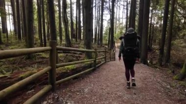 Baby Boy 'la Ana Yürüyüş Kanada' da Sırt Çantası Taşıyıcısı 'nda. Sonbahar sezonu, Gündüz. Kuzey Vancouver, Britanya Kolombiyası Kanada