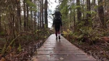 Baby Boy 'la Ana Yürüyüş Kanada' da Sırt Çantası Taşıyıcısı 'nda. Sonbahar sezonu, Gündüz. Kuzey Vancouver, Britanya Kolombiyası Kanada