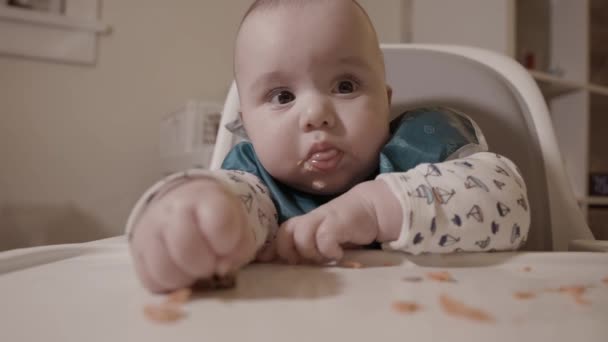 Das Entzückende Baby Isst Zum Ersten Mal Lachs First Solid — Stockvideo