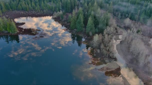Valle Junto Lago Montañas Árboles Verdes Cubiertos Niebla Canadian Landscape — Vídeos de Stock