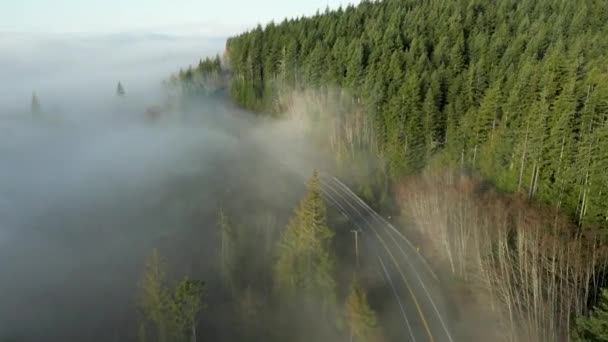 Malownicza Autostrada Wybrzeżu Oceanu Spokojnego Foggy Vancouver Island Kanada — Wideo stockowe