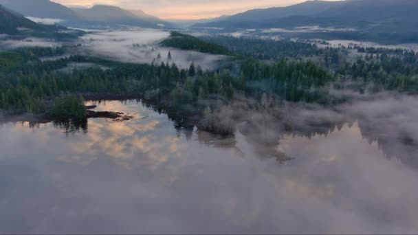 Долина Озера Горы Зеленые Деревья Покрытые Туманом Канадский Пейзаж Природа — стоковое видео