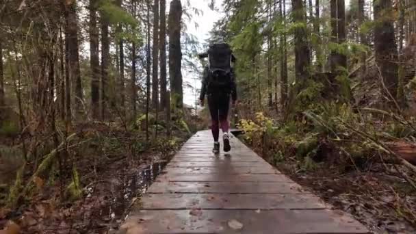 Matka Piesze Wycieczki Małym Chłopcem Plecaku Carrier Kanadyjskiej Przyrody Sezon — Wideo stockowe