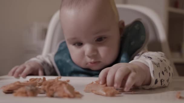 Rozkošné Dítě Jíst Lososa Poprvé První Solid Food Měsíců Staré — Stock video