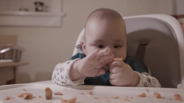 可爱的婴儿第一次吃鲑鱼 第一个固体食物 6个月大白人男孩 — 图库视频影像