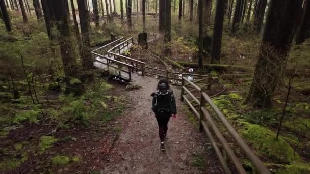 Mutter Wandert Mit Baby Boy Rucksack Der Kanadischen Natur Herbstzeit — Stockvideo