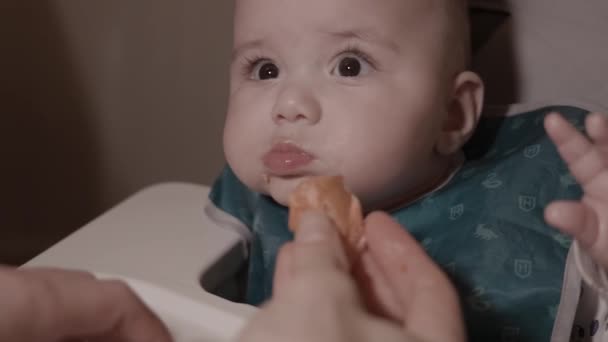 初めてサーモンを食べる愛らしい赤ちゃん ファーストソリッドフード 6ヶ月 ホワイト コーカサス ボーイ — ストック動画