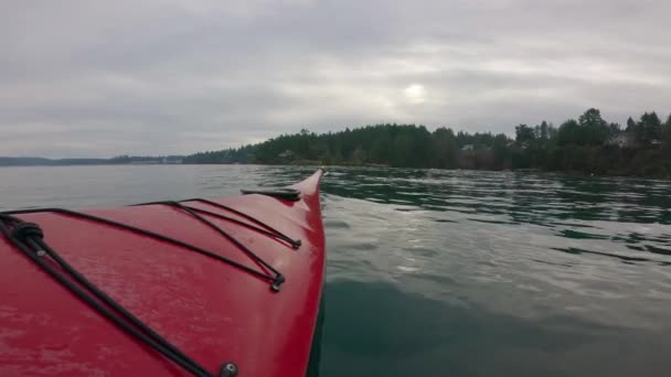 Mann Morgen Beim Kajakfahren Auf Ruhigen Meeresgewässern Winter Victoria Vancouver — Stockvideo