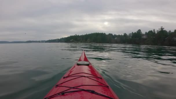 Man Kajakpaddling Morgonen Lugna Ocean Waters Vinter Victoria Vancouver Island — Stockvideo