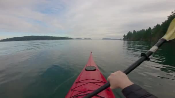 Man Kayak Mañana Aguas Tranquilas Del Océano Invierno Victoria Vancouver — Vídeos de Stock