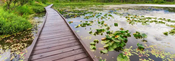 Stock image Wooden path by the lake. One Mile Lake, Pemberton, BC, Canada.