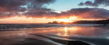 Tofino 'daki Sandy Plajı. Pasifik Okyanusu 'nun batı kıyısı. Vancouver Adası, BC, Kanada.