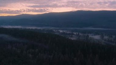 Dağlar ve sisle kaplı yeşil ağaçlarla kaplı bir vadi. Kanada Peyzaj Doğası Hava Arkaplanı. Vancouver Adası, British Columbia, Kanada.