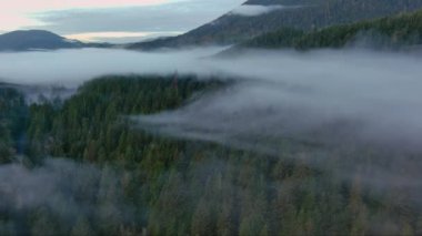Dağlar ve sisle kaplı yeşil ağaçlarla kaplı bir vadi. Kanada Peyzaj Doğası Hava Arkaplanı. Vancouver Adası, British Columbia, Kanada.