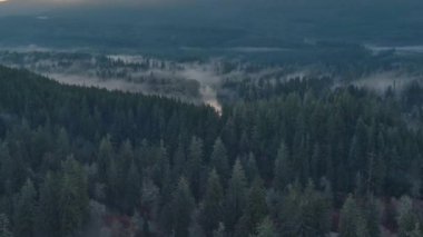 Dağlar ve sisle kaplı yeşil ağaçlarla kaplı bir vadi. Kanada Peyzaj Doğası Hava Arkaplanı. Vancouver Adası, British Columbia, Kanada.