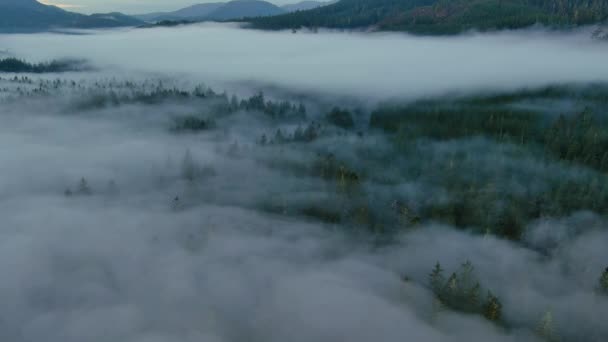 Valley Mountains Green Trees Covered Fog Canadian Landscape Nature Aerial — Stock Video