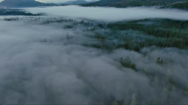 山谷被高山覆盖 绿树被雾覆盖 加拿大景观 自然和空中背景 加拿大不列颠哥伦比亚省温哥华岛 — 图库视频影像