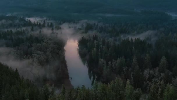 Долина Гор Зеленых Деревьев Покрытых Туманом Канадский Пейзаж Природа Воздушный — стоковое видео